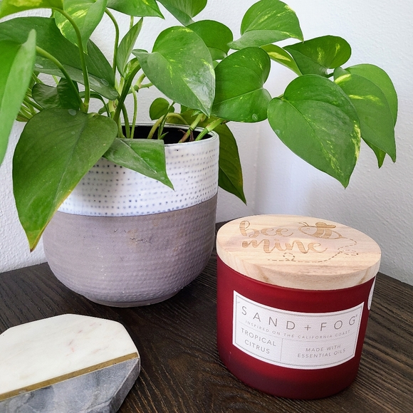 New Sand + Fog Soy Wax Blend 12 oz Candle - Tropical Citrus - Picture 4 of 5